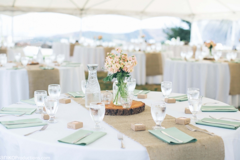 reception-youngberg-hill-winery-bed-breakfast-wedding-photos-oregon2